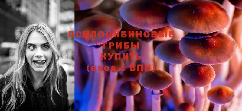 Галлюциногенные грибы Magic Shrooms  Пушкино 