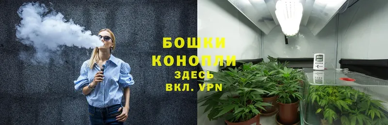 Бошки Шишки Bruce Banner  Пушкино 